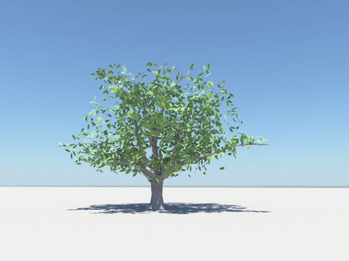 Summer Tree 3d model download — 3D model download