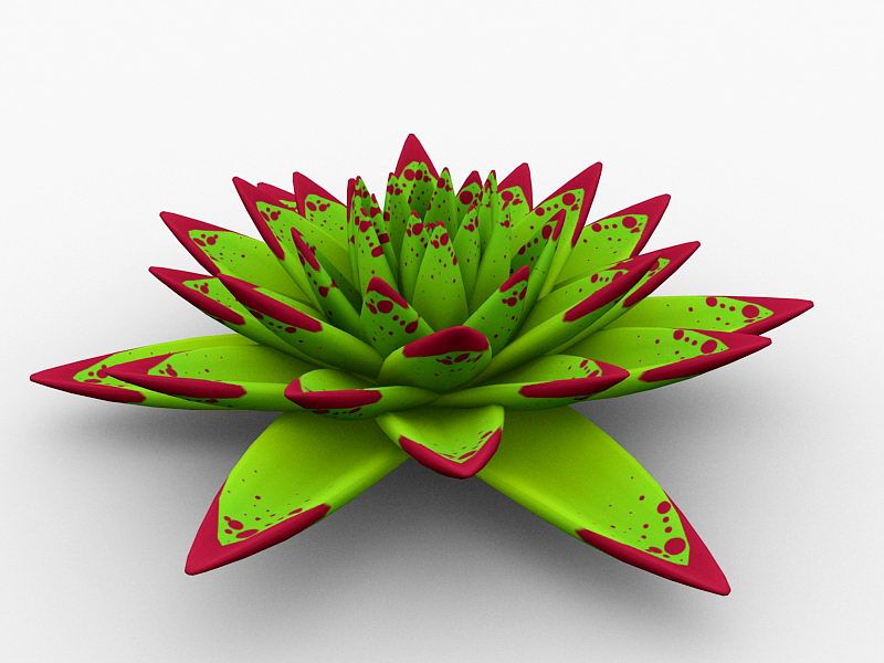 Echeveria agavoides Crassulaceae 3d model download — 3D model download