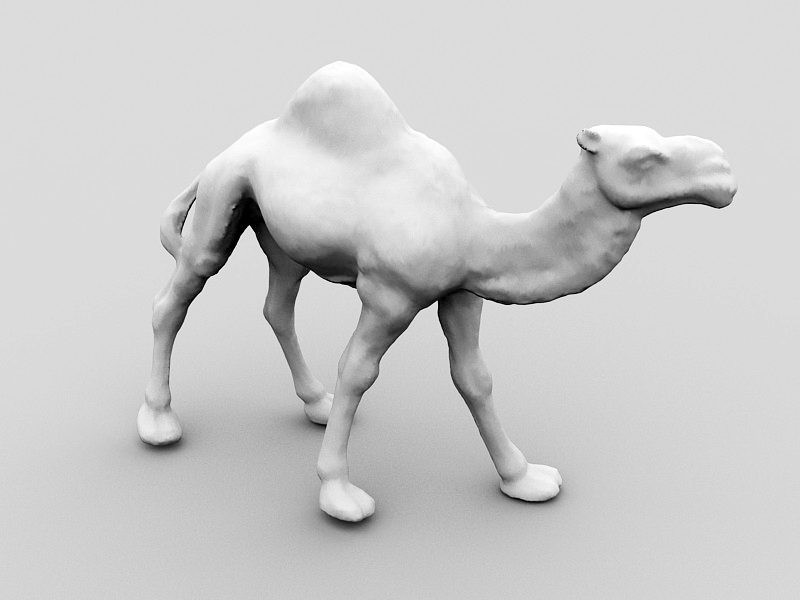 Desert Camel 3d model download — 3D model download
