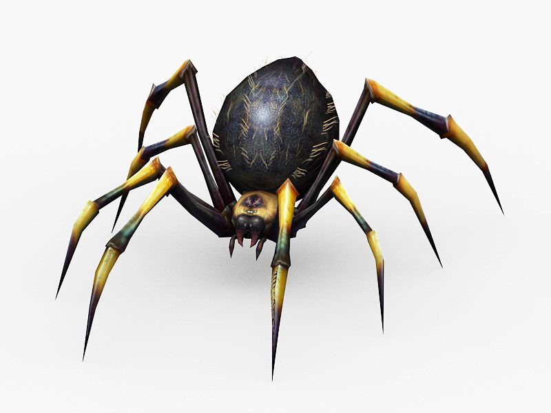 Poisonous Spider 3d model download — 3D model download