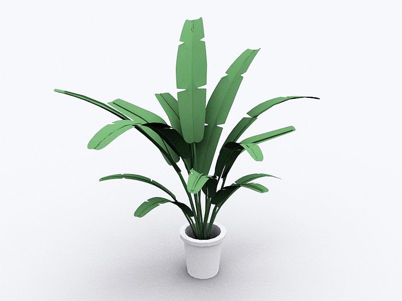 Large Indoor Potted Plant 3d model download — 3D model download