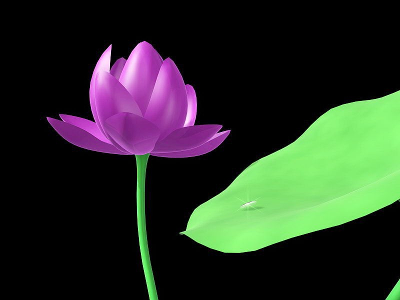 Flower Lotus Water Lily 3d model download — 3D model download