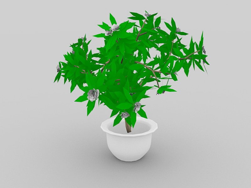 Large Indoor Potted Plant 3d model download — 3D model download