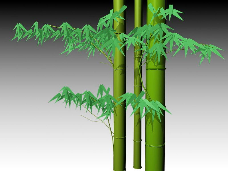 Growing Bamboo 3d model download — 3D model download