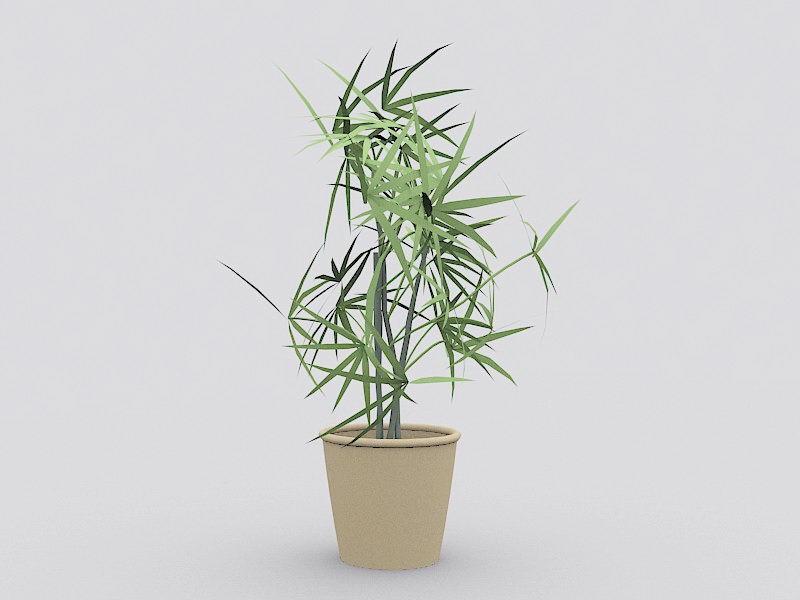 Potted Tree Plant 3d model download — 3D model download