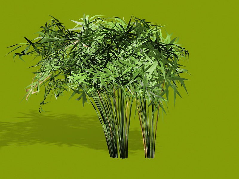 Papyrus Plants 3d model download — 3D model download