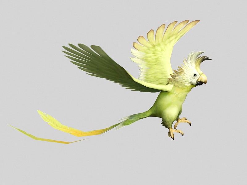 Yellow Parrot Bird 3d model download — 3D model download