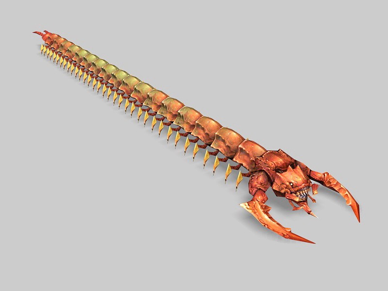 Big Red Centipede 3d model download — 3D model download