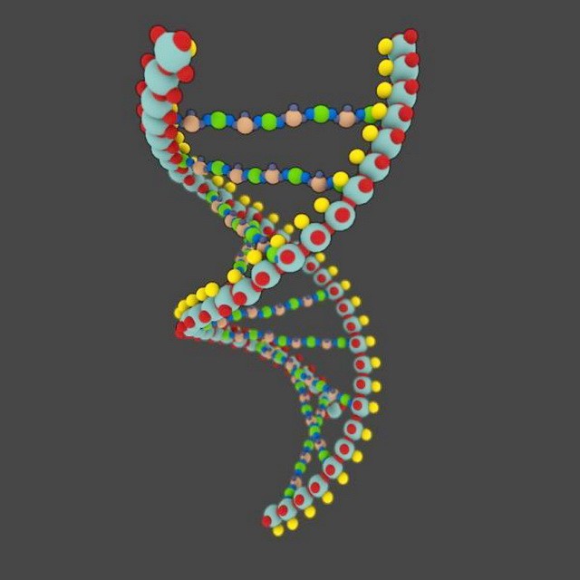 DNA Molecule Structure 3d model download — 3D model download