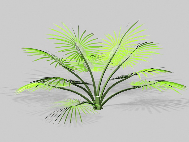 Palm Shrub 3d model download — 3D model download