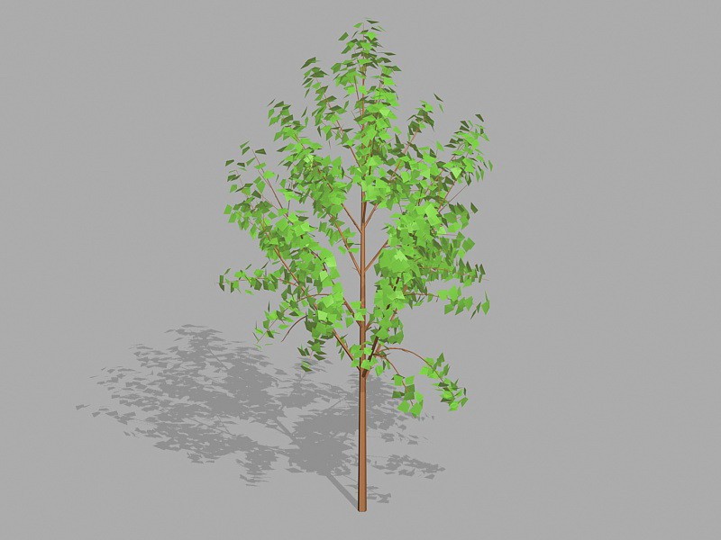 Small Tree Plant 3d model download — 3D model download
