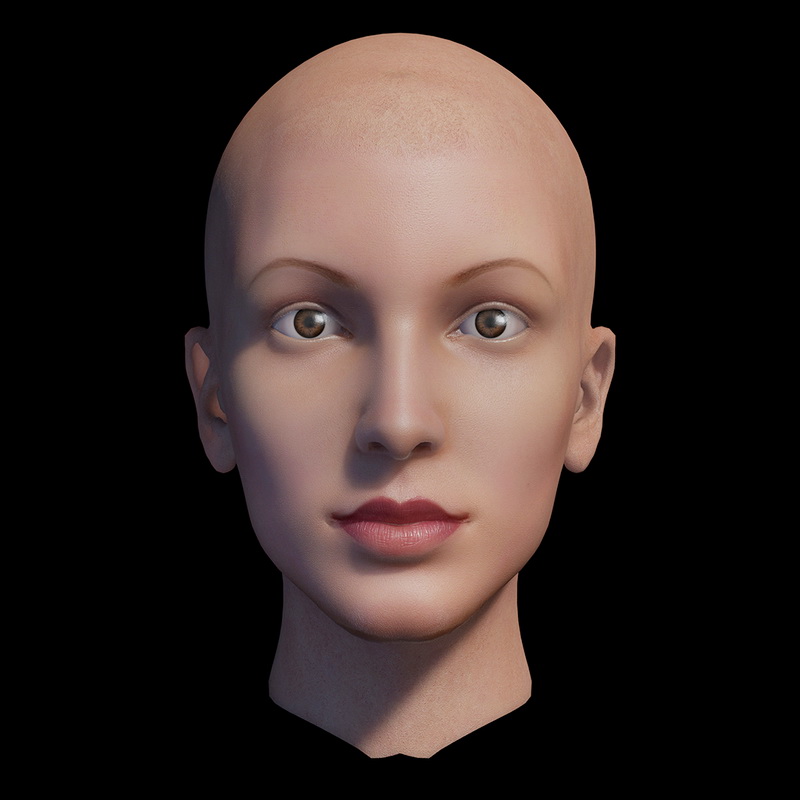 Bald Head Female 3d model download — 3D model download