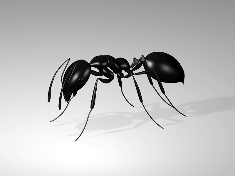 Giant Black Ant 3d model download — 3D model download