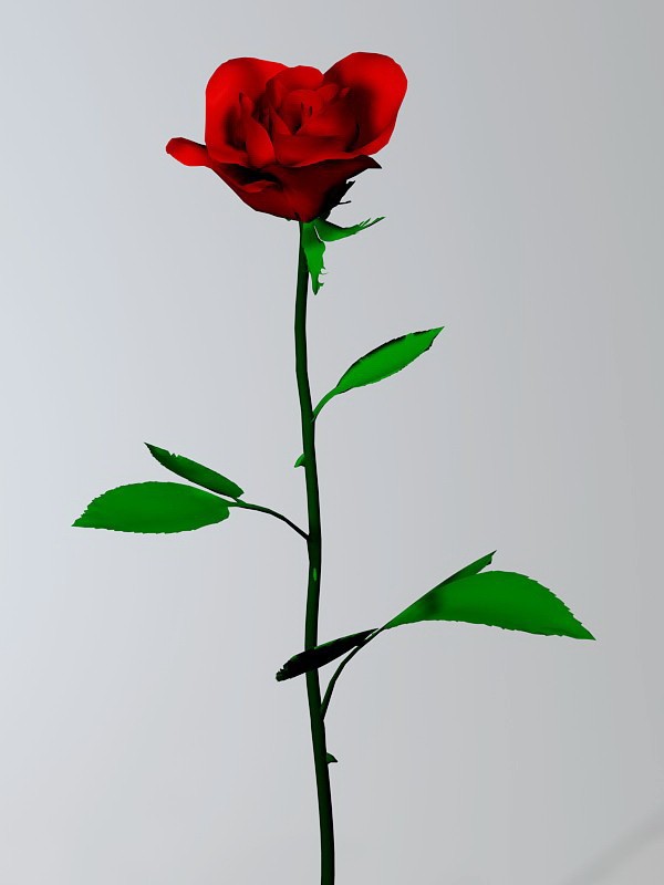 Red Rose Flower 3d model download — 3D model download