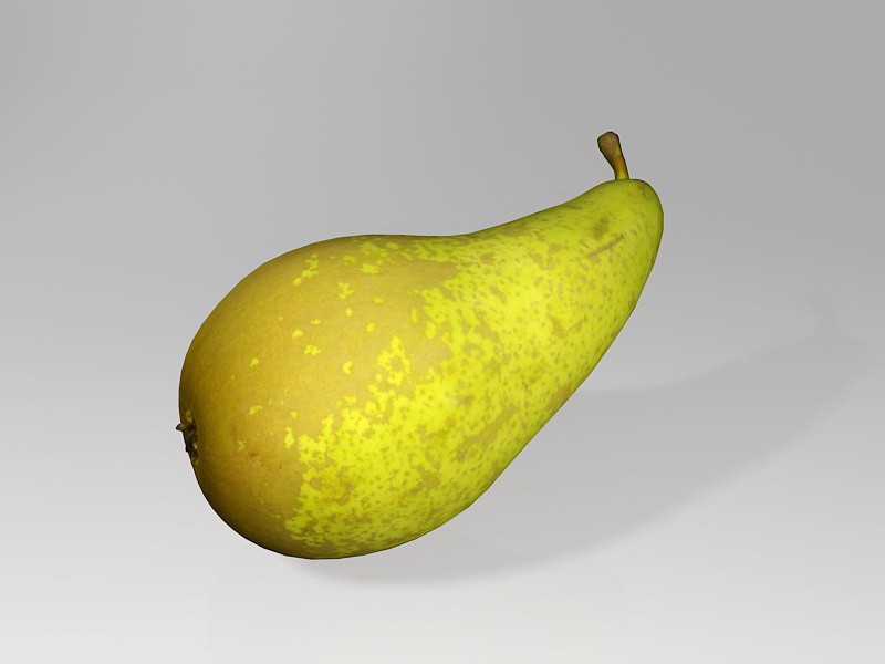 Concorde Pear 3d model download — 3D model download