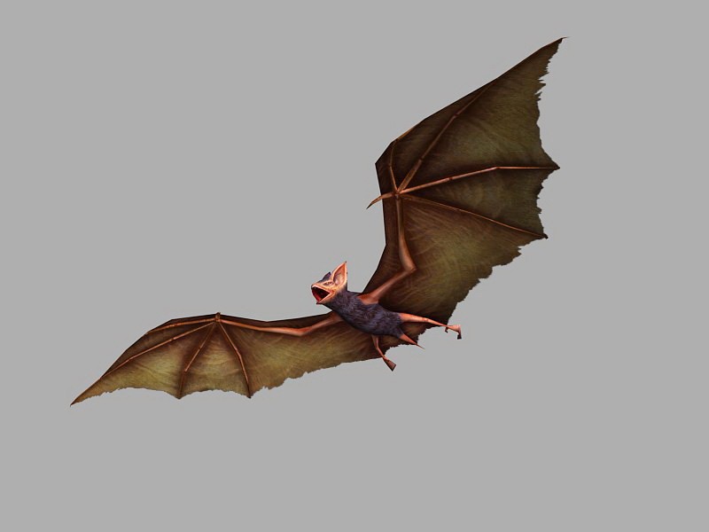 Flying Bat 3d model download — 3D model download