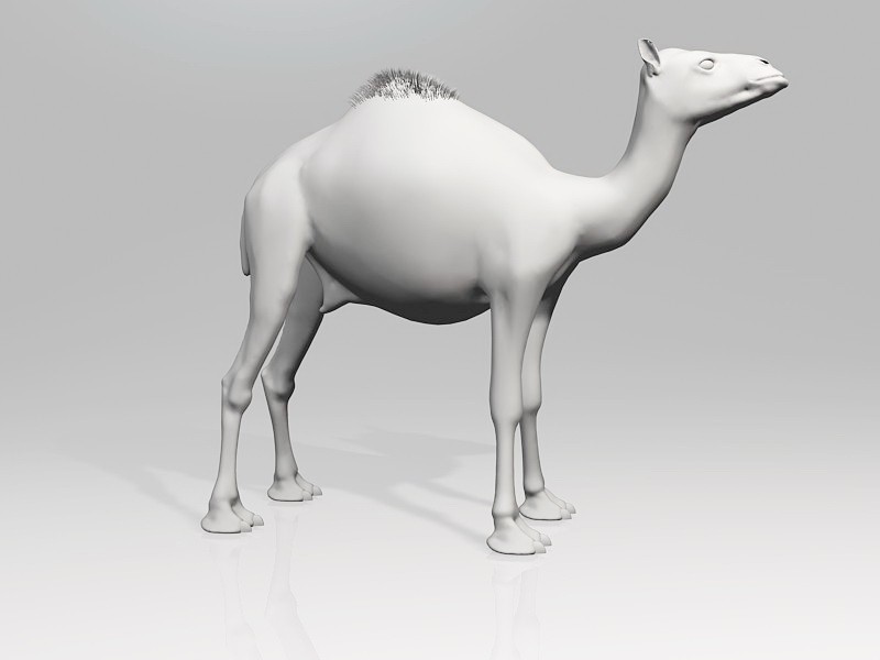 Arabic Camel 3d model download — 3D model download