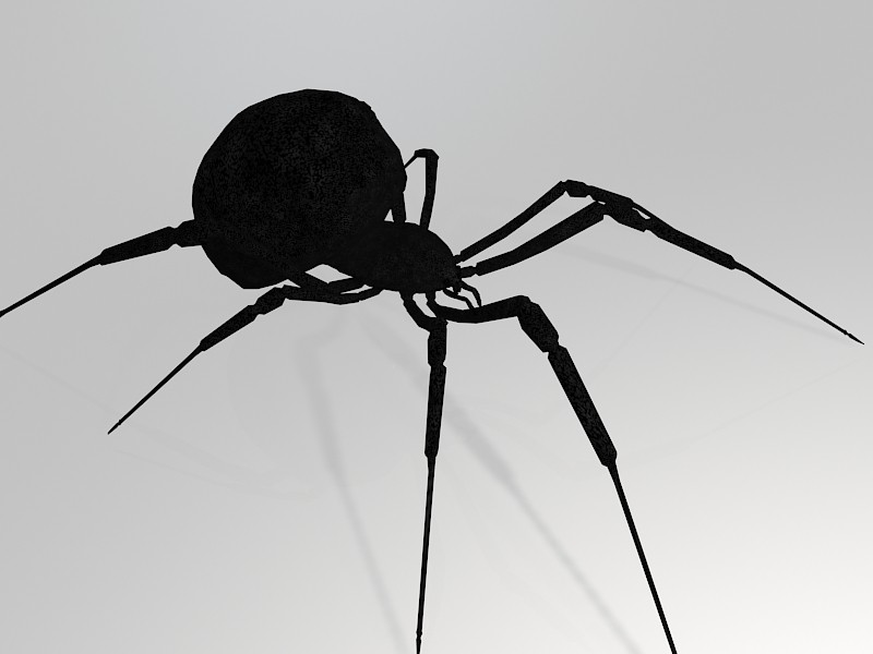 Black Widow Spider 3d model download — 3D model download