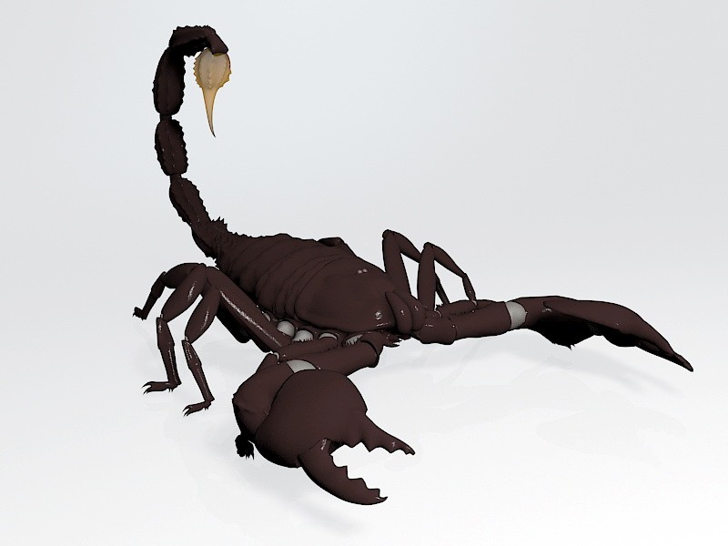 Black Scorpion 3d model download — 3D model download