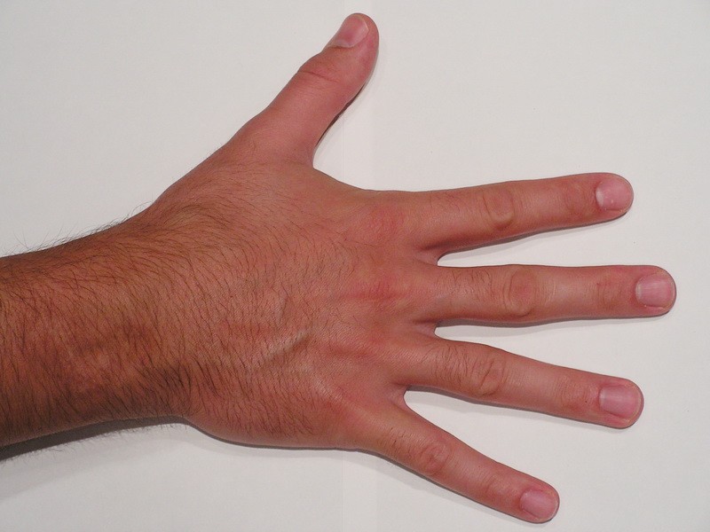 Male Right Hand 3d model download — 3D model download