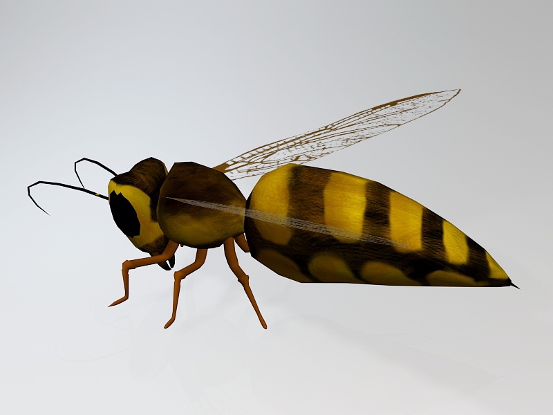 Wasp Bee Insect 3d model download — 3D model download