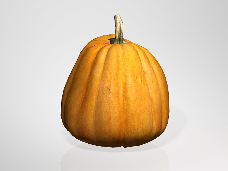 Sugar Pumpkin 3d model download — 3D model download