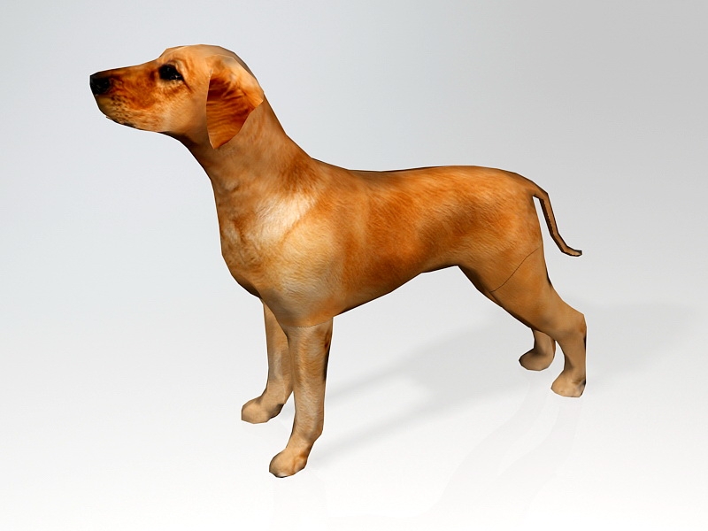 Ridgeback Puppy 3d model download — 3D model download