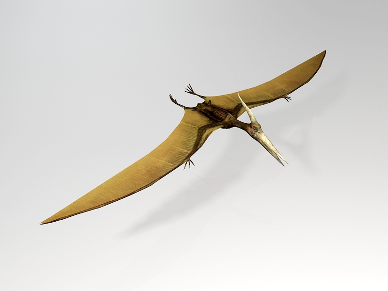 Pterosaur Flying Dinosaur 3d model download — 3D model download