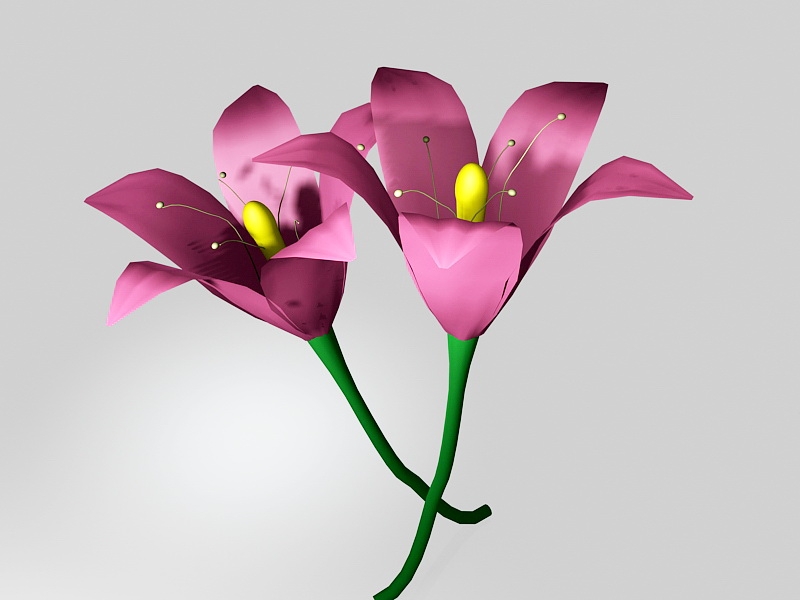 Pink Tiger Lily Flowers 3d model download — 3D model download