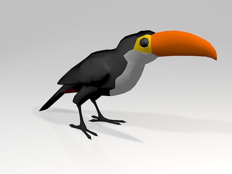 Toucan Parrot 3d model download — 3D model download