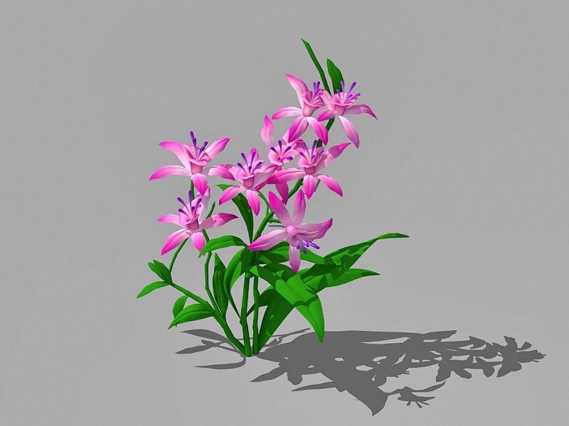 Pink Lily Flowers 3d model download — 3D model download