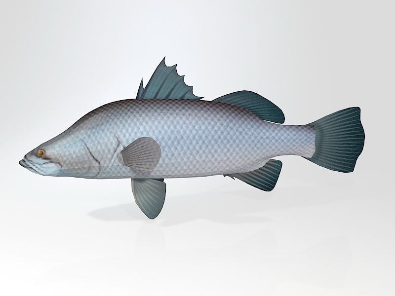 Barramundi Asian Sea Bass Fish 3d model download — 3D model download