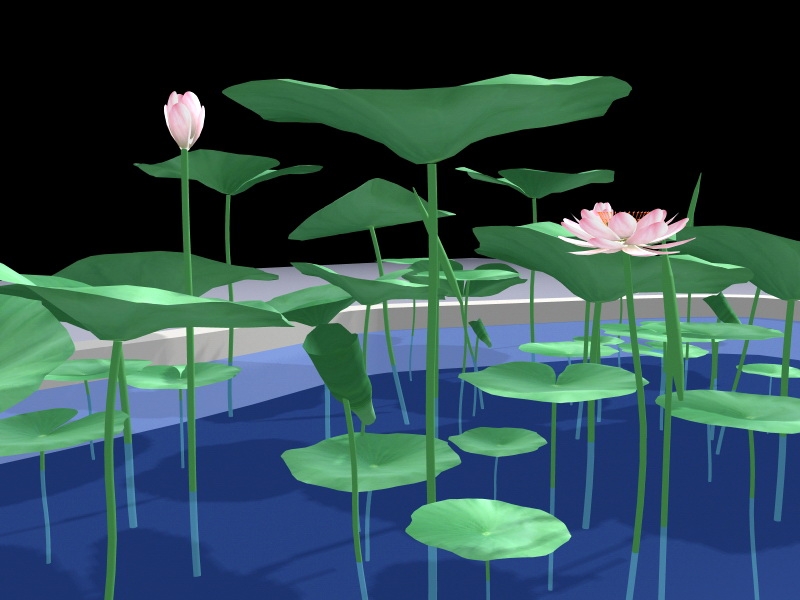 Small Lotus Pond 3d model download — 3D model download
