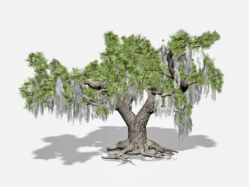 Beautiful Old Tree 3d model download — 3D model download