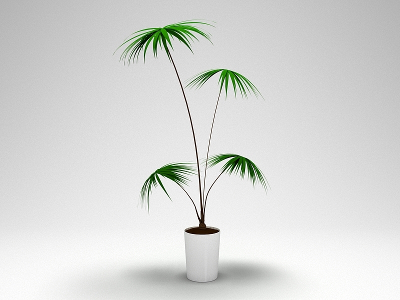 Potted Palm Plant 3d model download — 3D model download