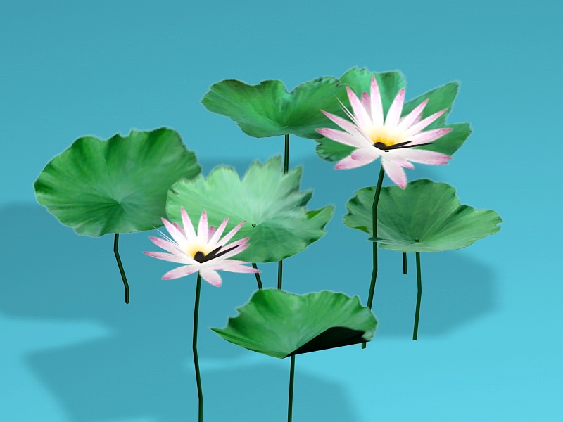 Egyptian Lotus Flowers 3d model download — 3D model download