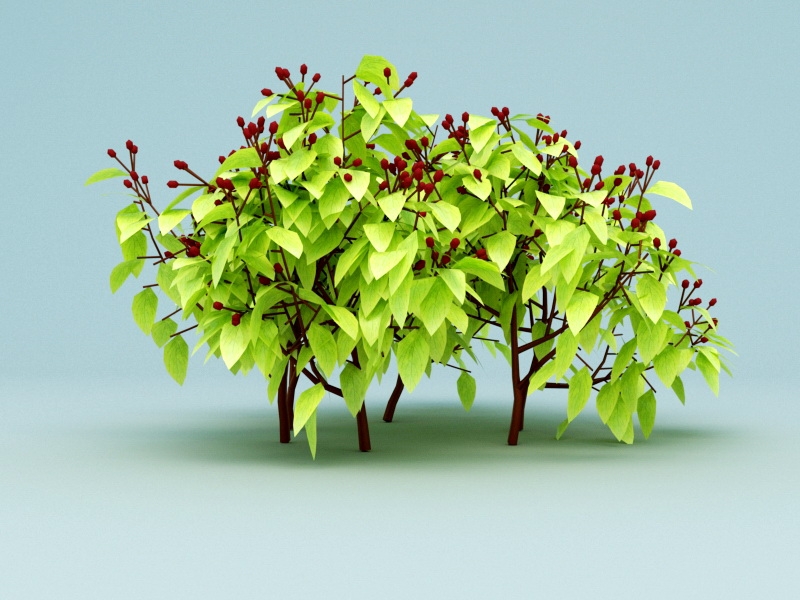 Red Berry Bushes 3d model download — 3D model download