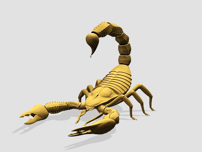 Yellow Scorpion 3d model download — 3D model download