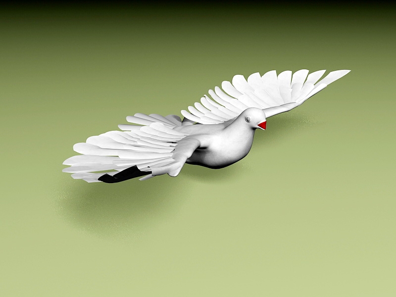 Animated Flying Pigeon Rig 3d model download — 3D model download
