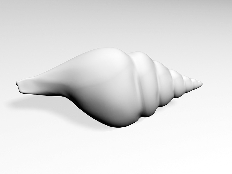 Banded Tulip Shell 3d model download — 3D model download