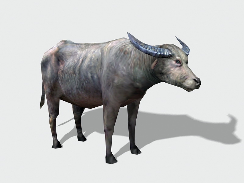 Low Poly Water Buffalo 3d model download — 3D model download