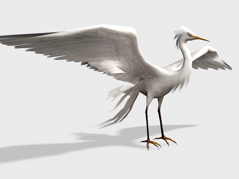 Great Egret Bird 3d model download — 3D model download