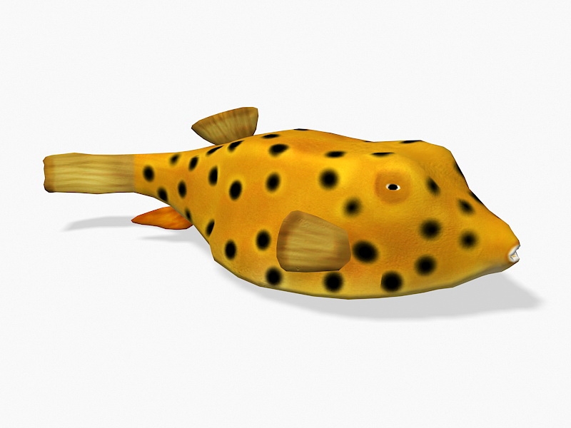 Animated Yellow Boxfish 3d model download — 3D model download