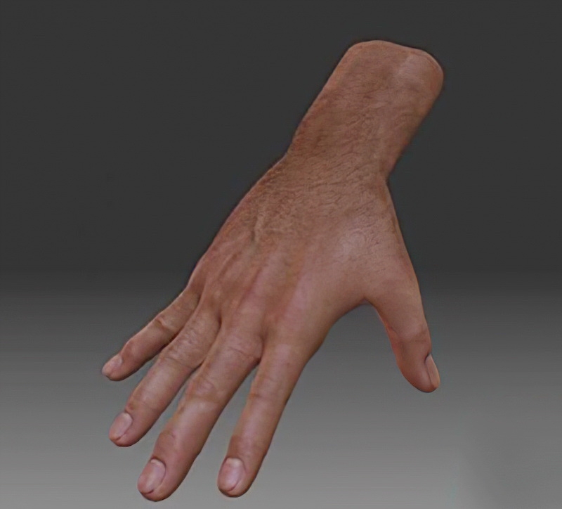 Men's Hand 3d model download — 3D model download