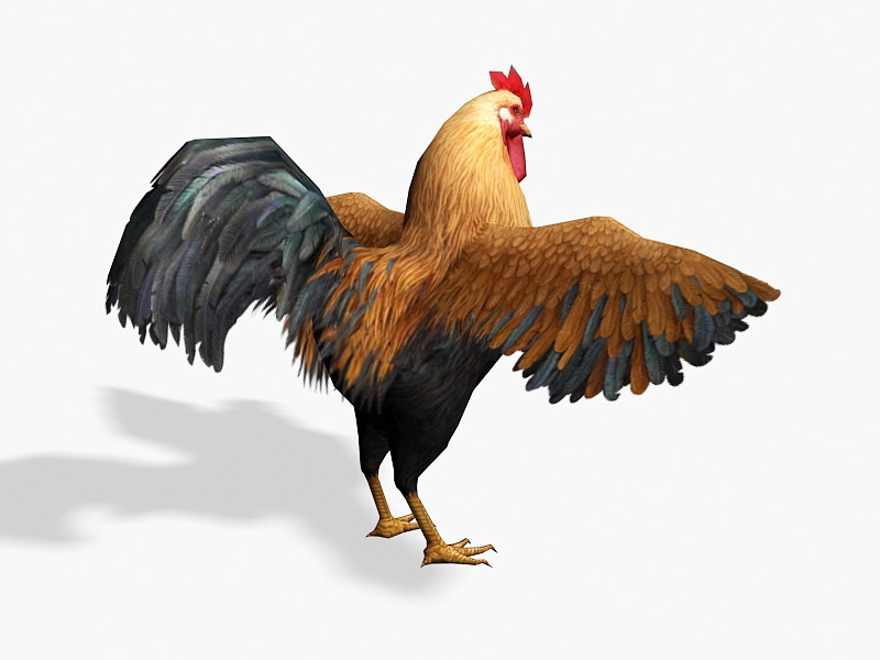 Colorful Rooster Low Poly 3d model download — 3D model download