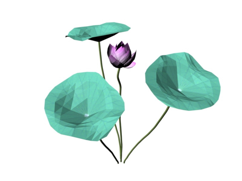 Pink Lotus Flower 3d model download — 3D model download