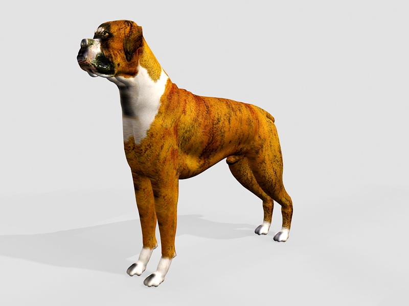 Giant Boxer Dog 3d model download — 3D model download