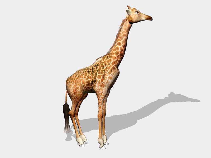 Beautiful Giraffe 3d model download — 3D model download