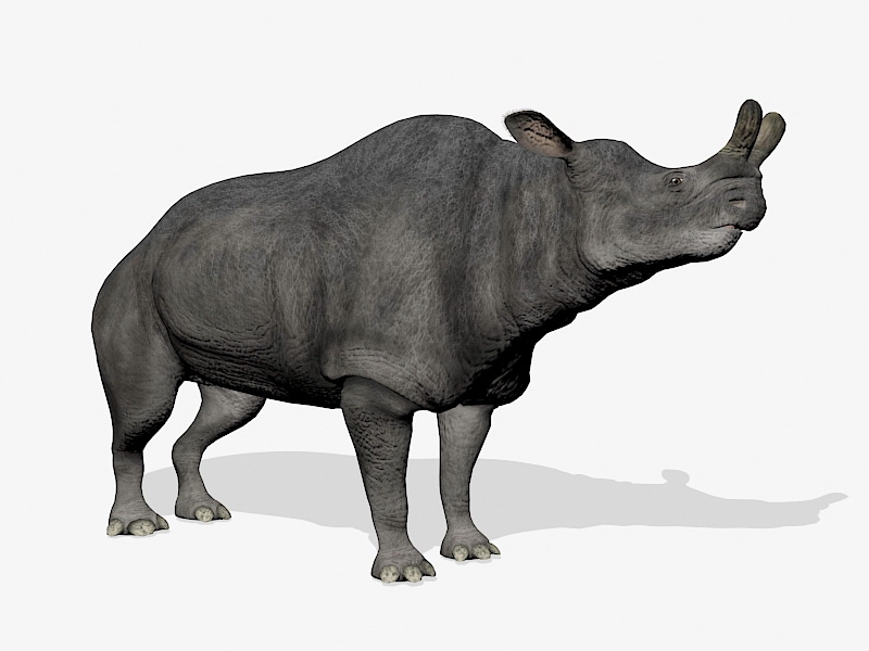 Brontotherium Megacerops 3d model download — 3D model download