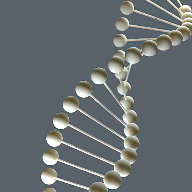 DNA Molecular Structure 3d model download — 3D model download